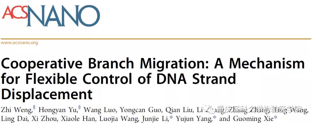 我校检验医学院谢国明教授团队在国际知名学术期刊《ACS Nano》发表研究论文