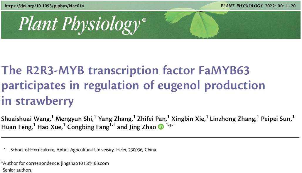 【聚焦“双一流”】我校草莓研究团队揭示丁香酚代谢调控新机制