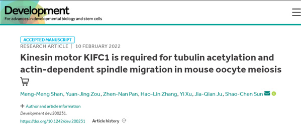 前沿｜动科院孙少琛课题组解析Kinesin马达蛋白在卵母细胞中重要功能