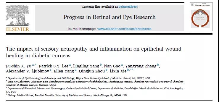 谢立信院士与余福新教授团队合作发表糖尿病角膜病变发病机制的权威综述