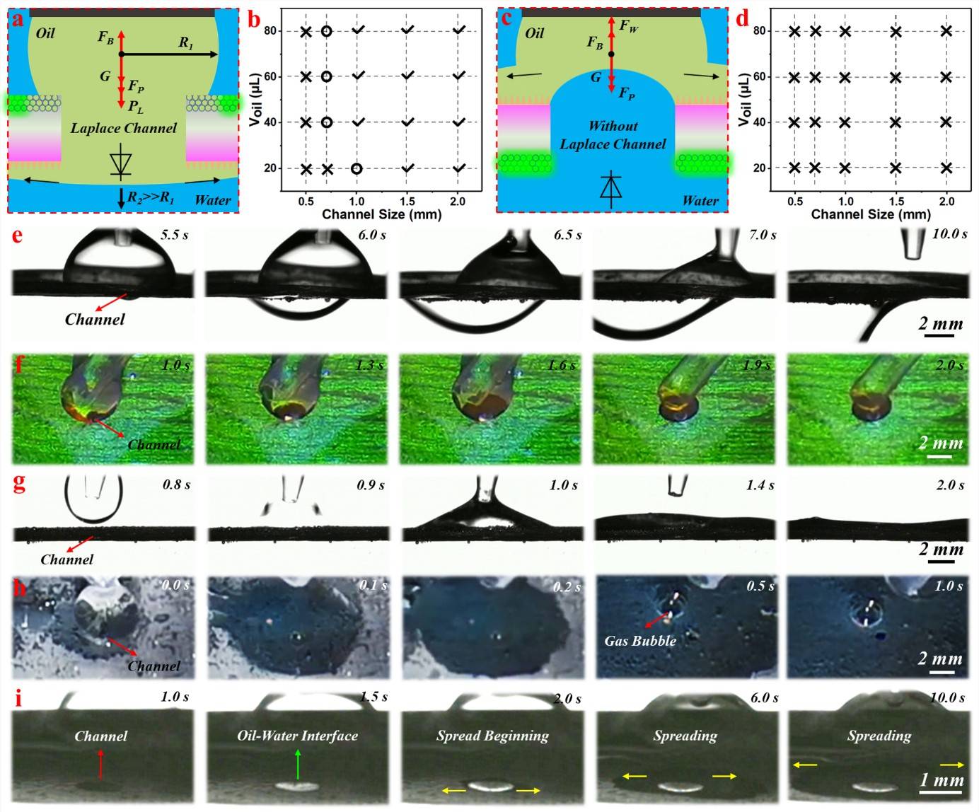 精细化工国家重点实验室为全彩色显示光子软致动器的研制提供新方法