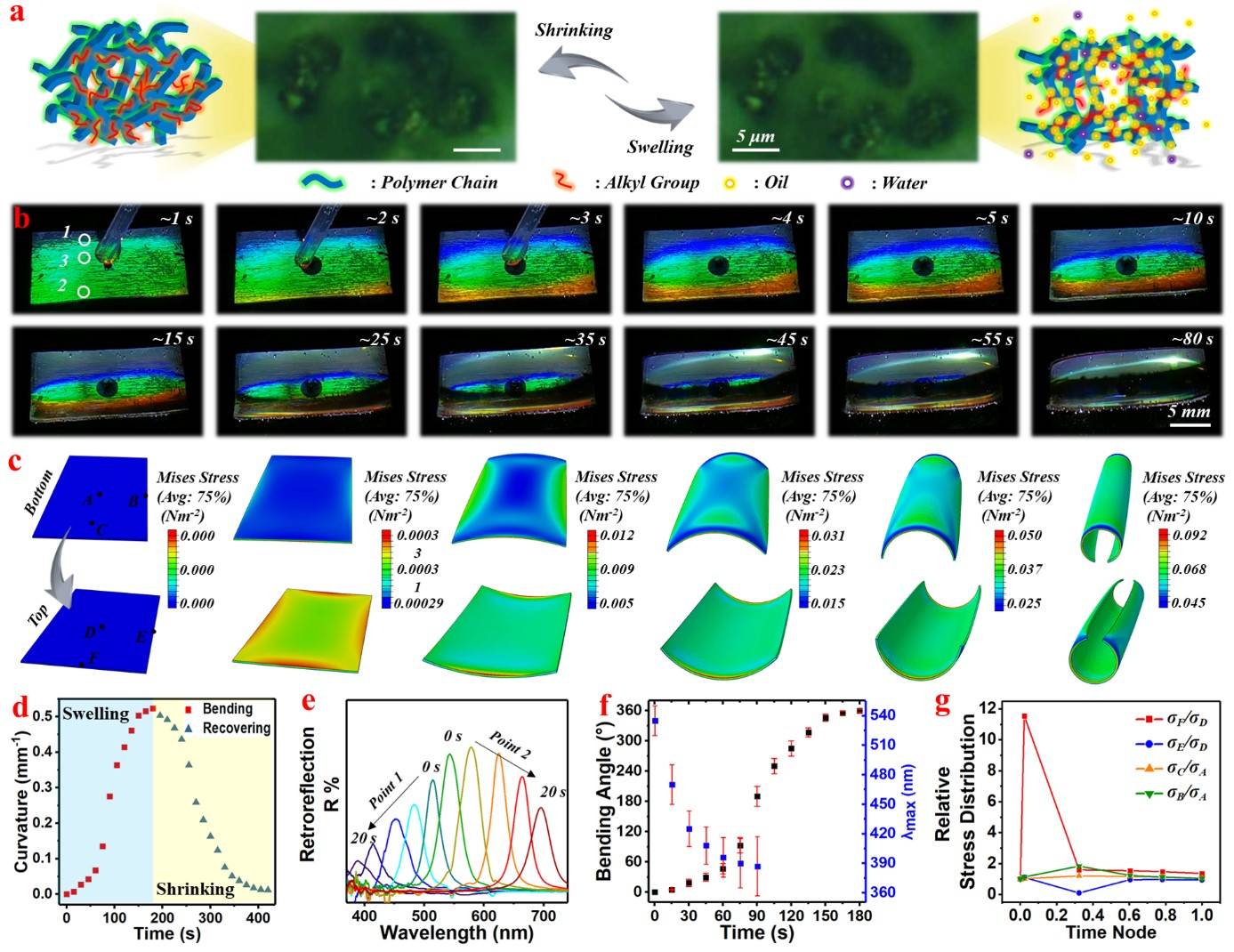 精细化工国家重点实验室为全彩色显示光子软致动器的研制提供新方法