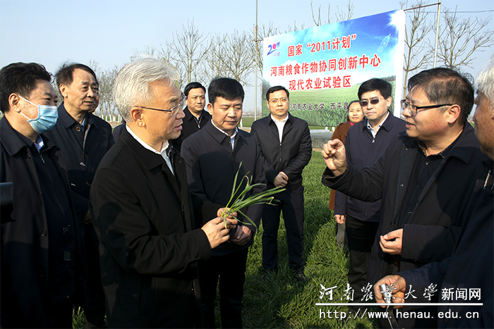 农业农村部副部长张桃林到我校西平基地调研冬小麦苗情和春耕管理工作