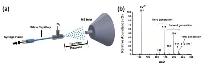 南开团队揭示百草枯在小水滴中可实现自发超快降解