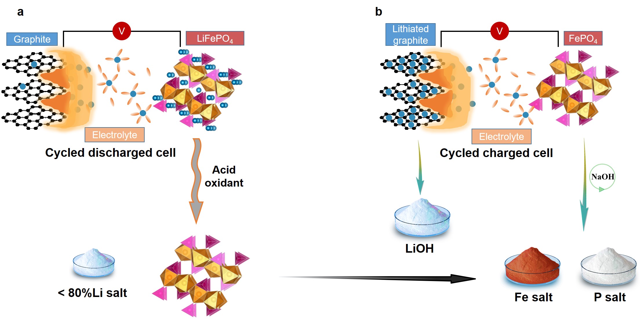 20220304-康飞宇科研-图2室温下从充电态废旧磷酸铁锂电池中回收提取单个元素示意图-国际院.jpg