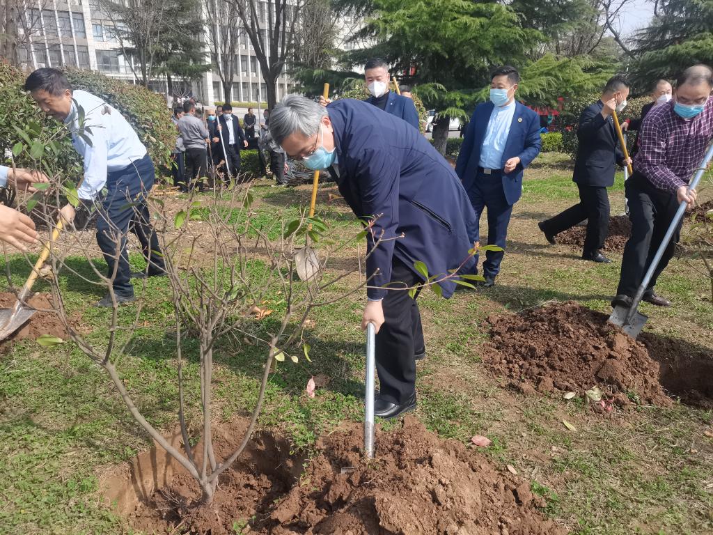 我校开展义务植树活动绿化美好校园