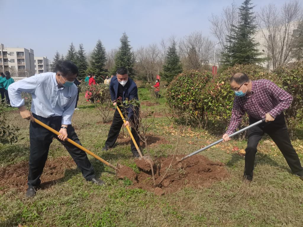 我校开展义务植树活动绿化美好校园