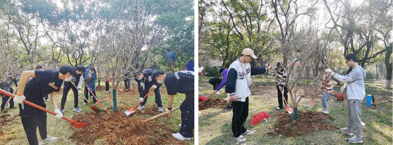 共植石榴树 绽放团结花 资环学院环工2002班开展植树节活动