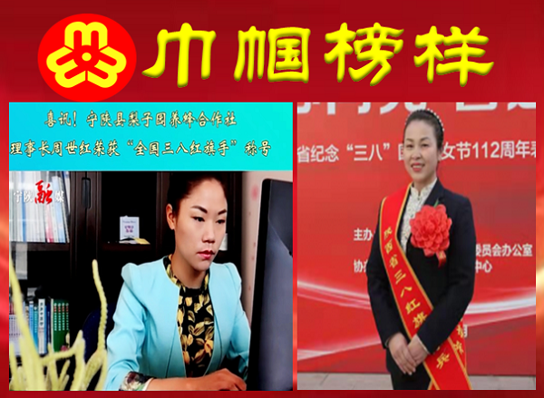 学员荣获“全国三八红旗手”、“陕西省三八红旗手标兵”称号