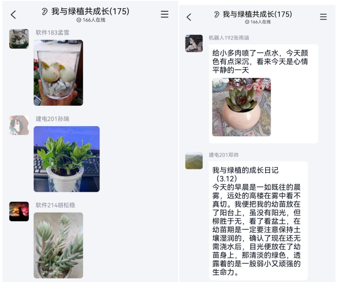信息与控制工程学院开展“我与绿植共成长”园艺健心活动