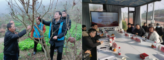 精准把脉开良方 植物保护学院科技助力乡村振兴