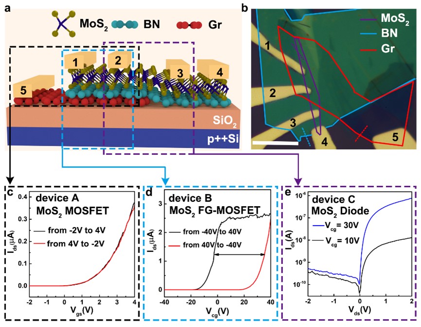 基于MoS2-BN-Graphene范德华异质结的多功能半浮栅晶体管