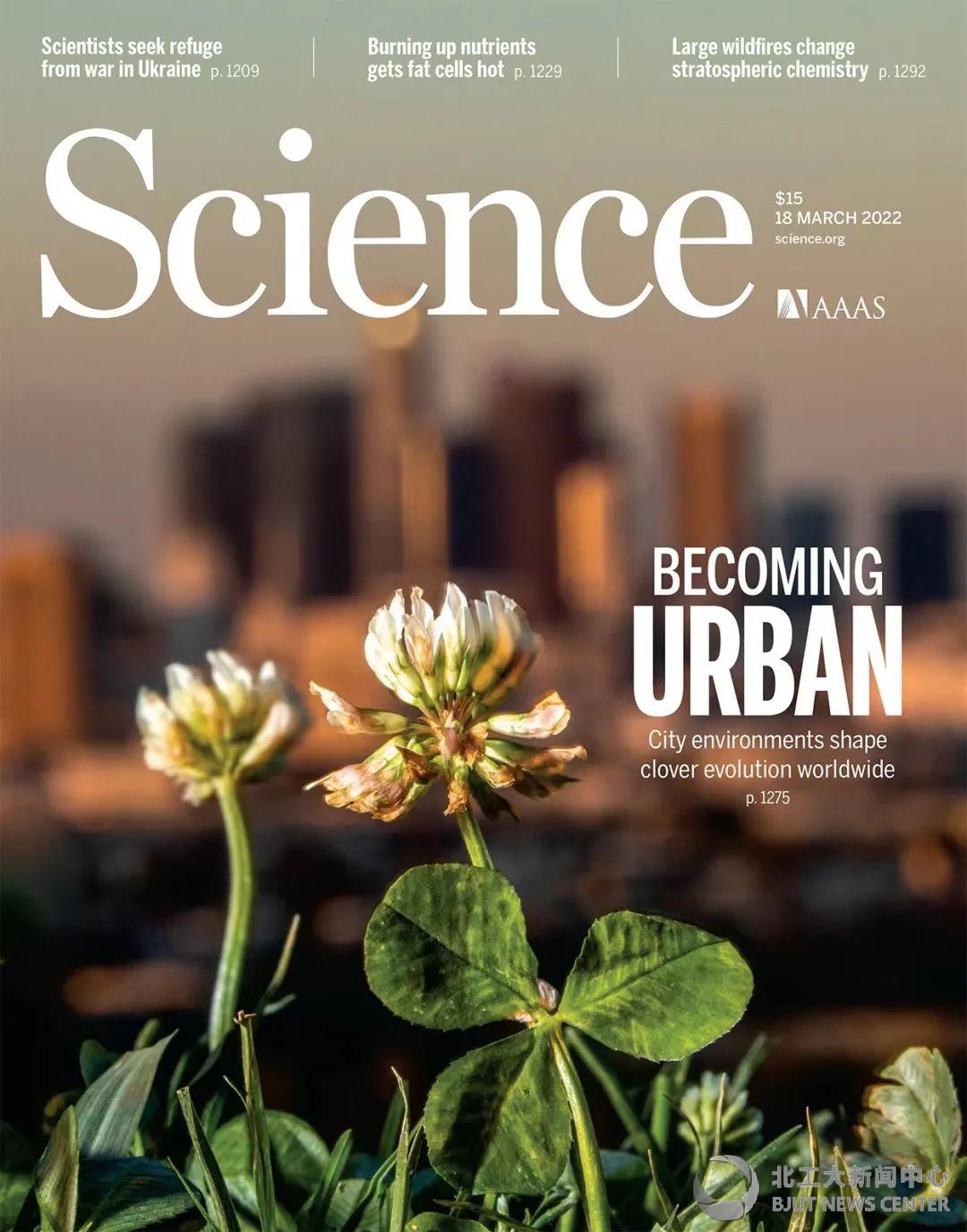北工大科研成果首登《Science》