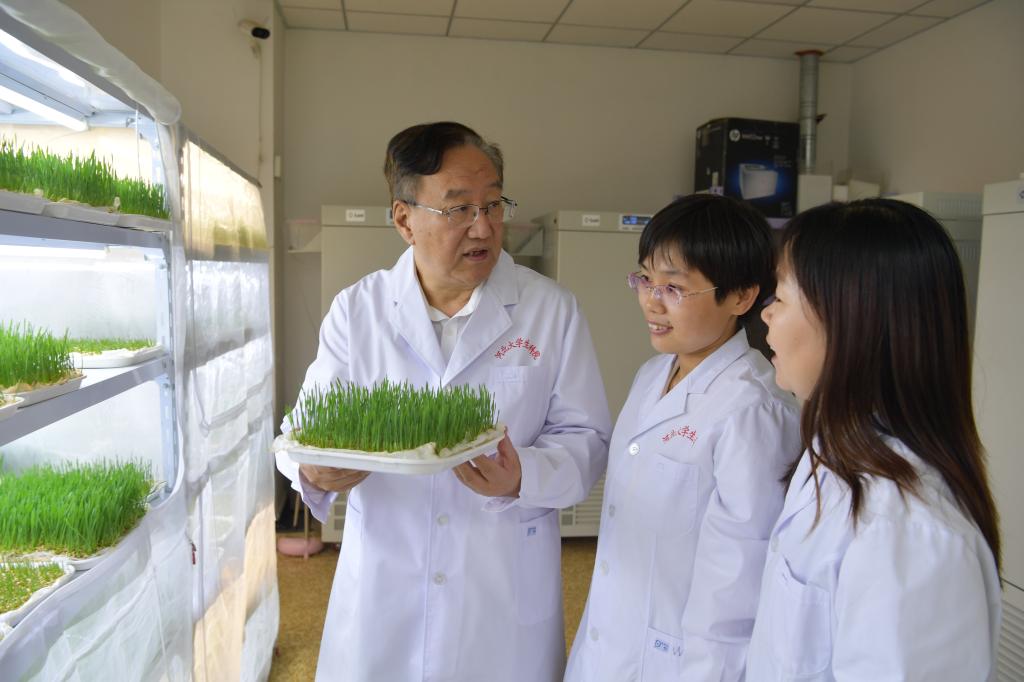 我校康乐院士团队在核心期刊发表“中国蝗虫学研究60年”