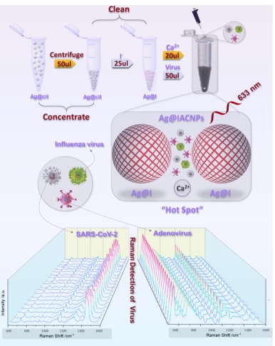 药学院李洋团队在Biosensors and Bioelectronics发表最新研究成果