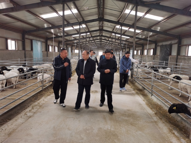 李兆敏赴十四师昆玉市皮山农场调研乡村振兴定点帮扶工作
