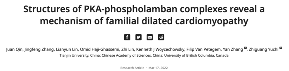 药学院尉迟之光团队揭示家族性扩张型心肌病发病机制