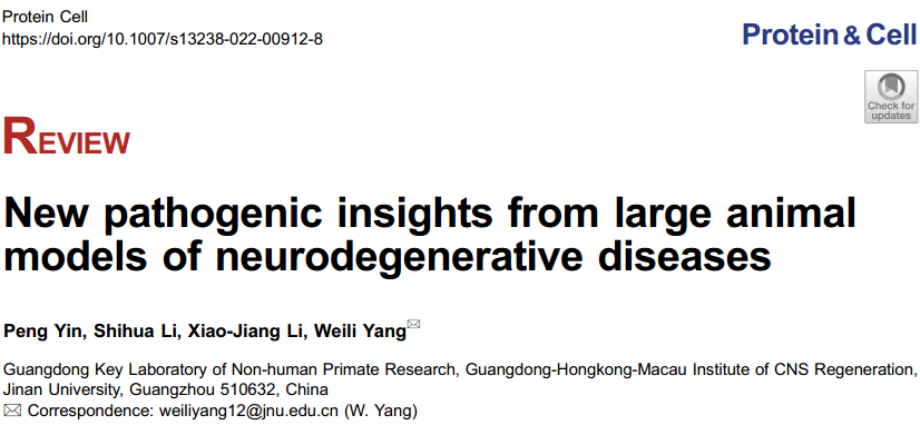 粤港澳中枢神经再生研究院李晓江团队在Protein Cell发表疾病大动物模型研究综述