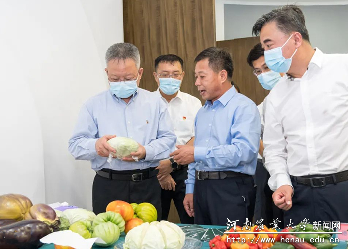 海南省委书记沈晓明到我校绍骙南繁研究院（筹）调研