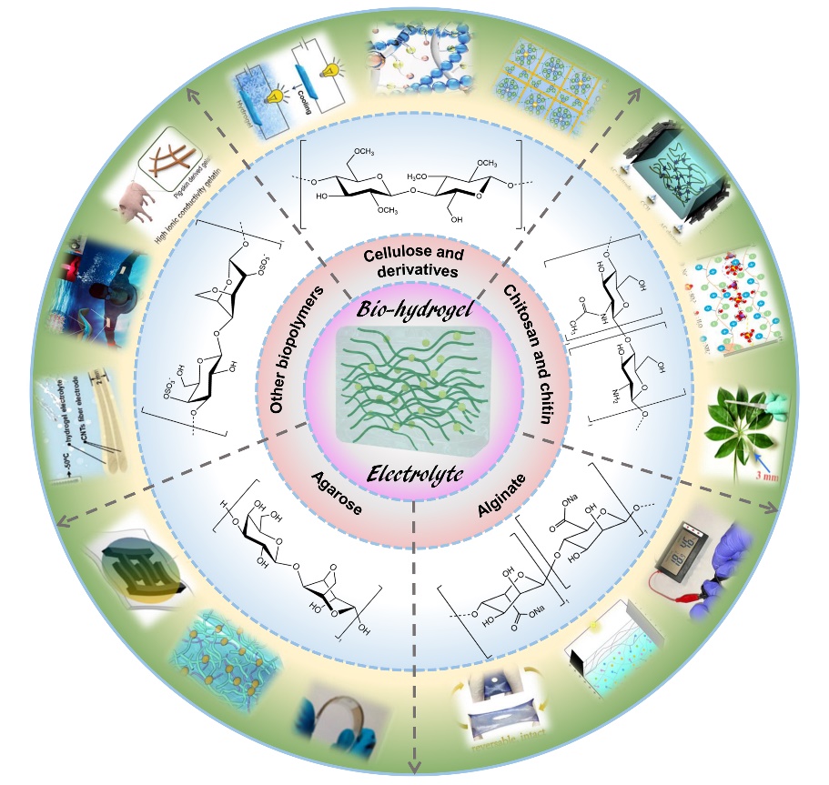 轻工科学与工程学院在生物质能源领域研究取得新进展