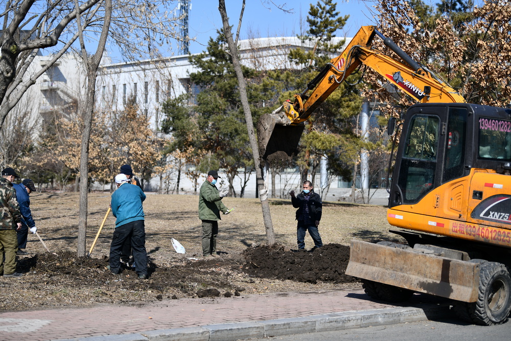 校园绿化管理中心：袅袅春风植绿忙