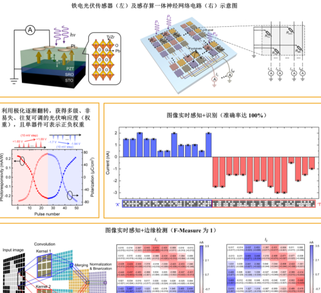 华南先进光电子研究院樊贞团队在《Nature Communications》发表重要研究成果