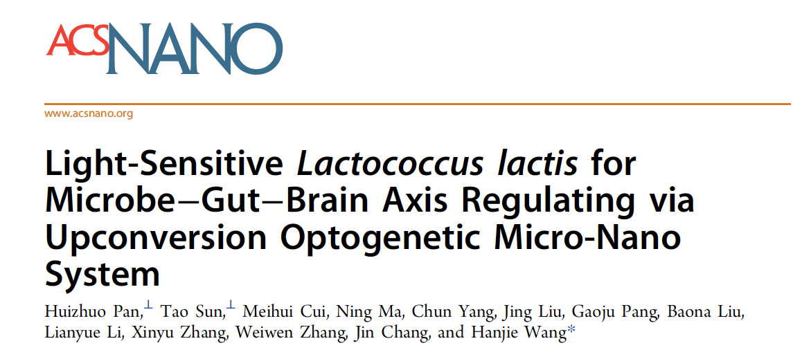 天津大学生命科学学院王汉杰课题组“上转换光遗传学调控肠-脑轴”研究取得新进展