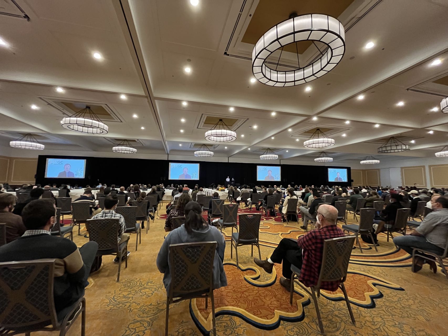 严建兵教授荣获LStadlerMid-CareerAward国际学术奖