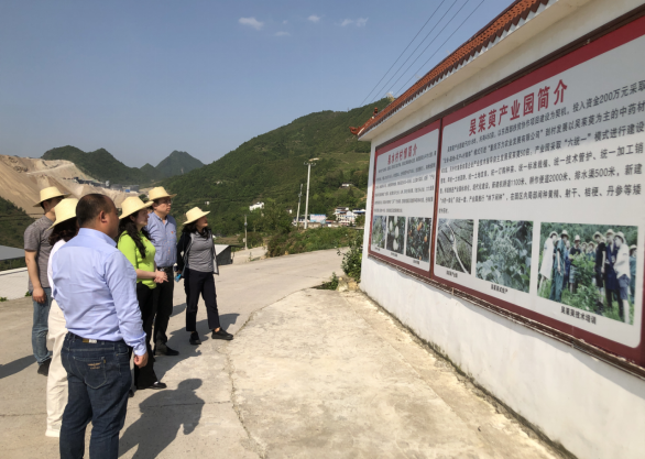 旅游与传媒学院党委赴云阳县龙角镇泉水村开展党建共建工作