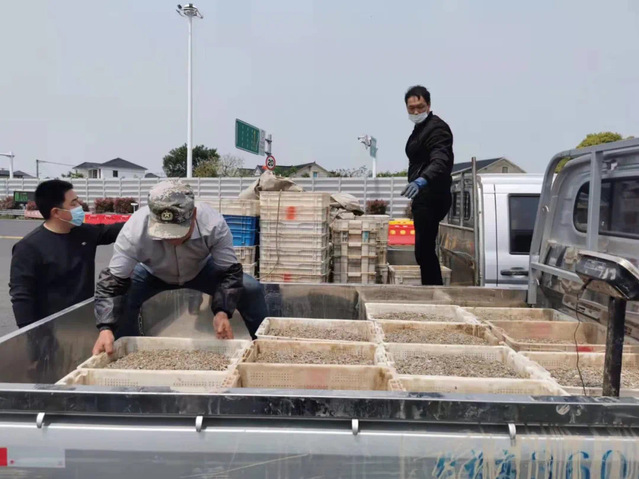 宁海海洋生物种业研究院开展新品种推广活动