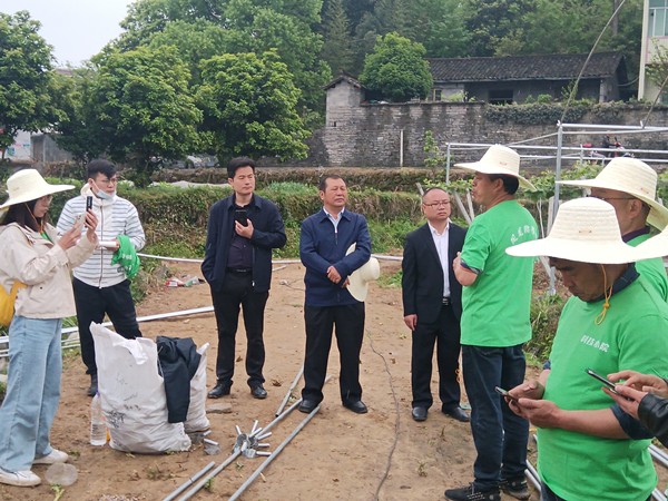 学校专家助力凤凰猕猴桃科技小院开展春耕技术指导