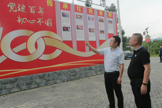 党建引领聚合力——乡村振兴引领湖南新化龙湾村“蝶变”之路