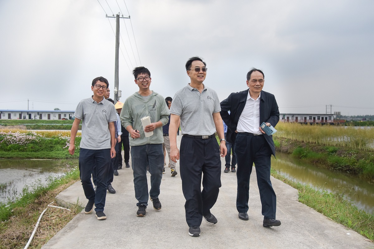 张启发院士带队赴汉川监利江陵调研“双水双绿”产业