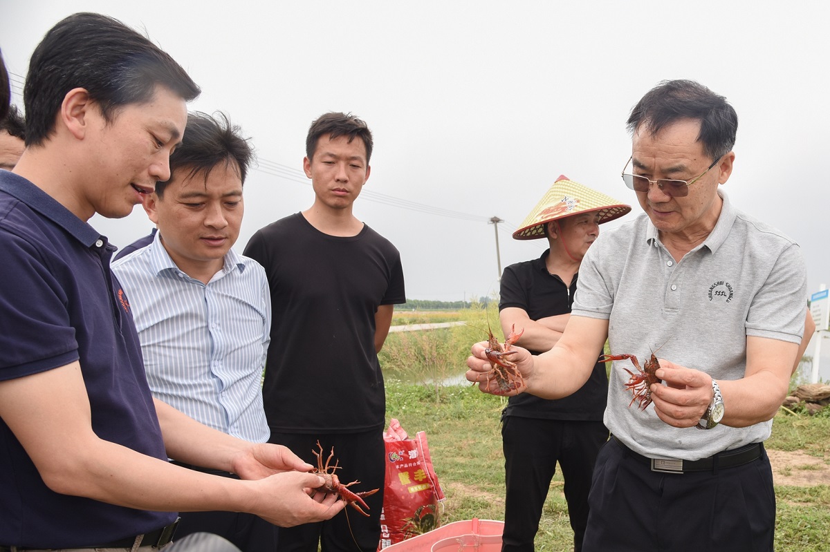 张启发院士带队赴汉川监利江陵调研“双水双绿”产业