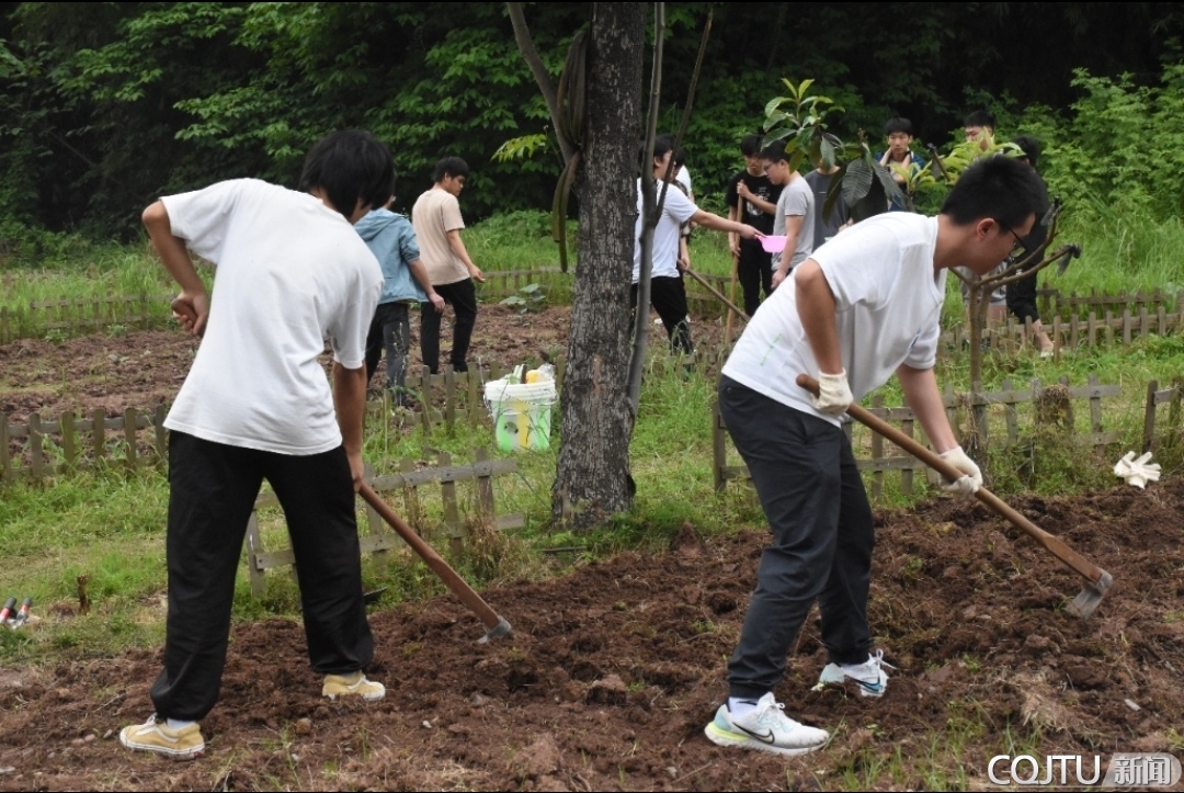 经管学院积极开展劳动教育实践活动