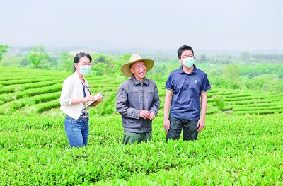 【奋进新征程 建功新时代·伟大变革】持续擦亮金色名片