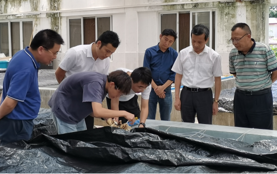 潘新祥到东海岛海洋生物研究基地检查指导疫情防控工作