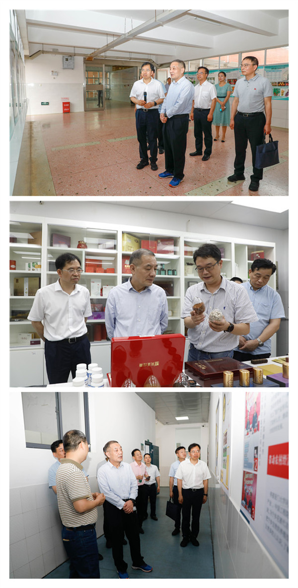 湖南省人大常委会副主任杨维刚来校调研