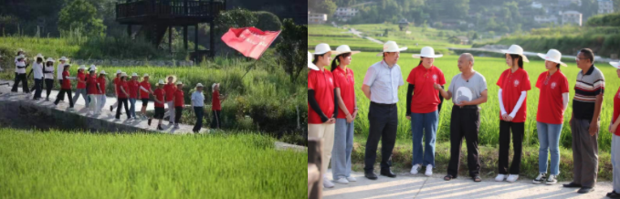 历史文化学院 民族学院“红石榴”乡村振兴实践团奔赴黔江区开展暑期社会实践