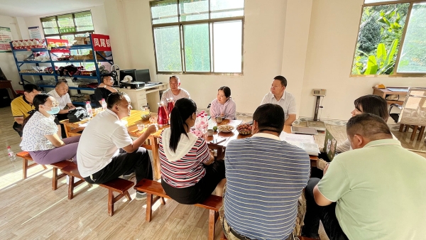 临沧市委常委、常务副市长赵子杰考察中国农大定点帮扶镇康县乡村振兴示范点