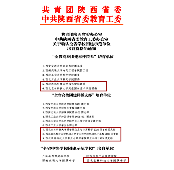 新增6个基层团组织入选全省学校团建示范单位培育创建名单