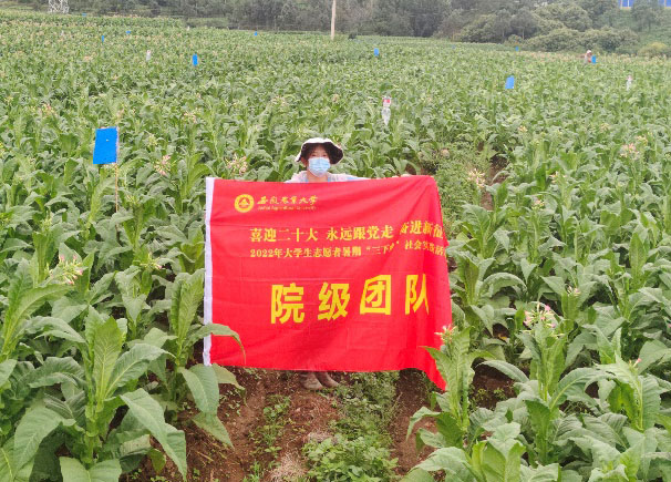 聚焦暑期生活丨我在家乡当“田医生”
