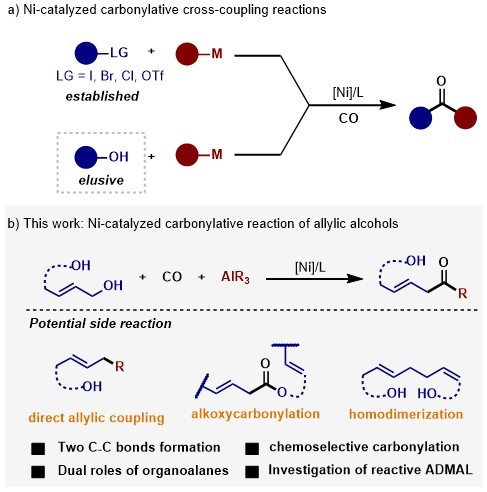 【创新前沿】《德国应用化学》报道我校羰基化领域研究新进展