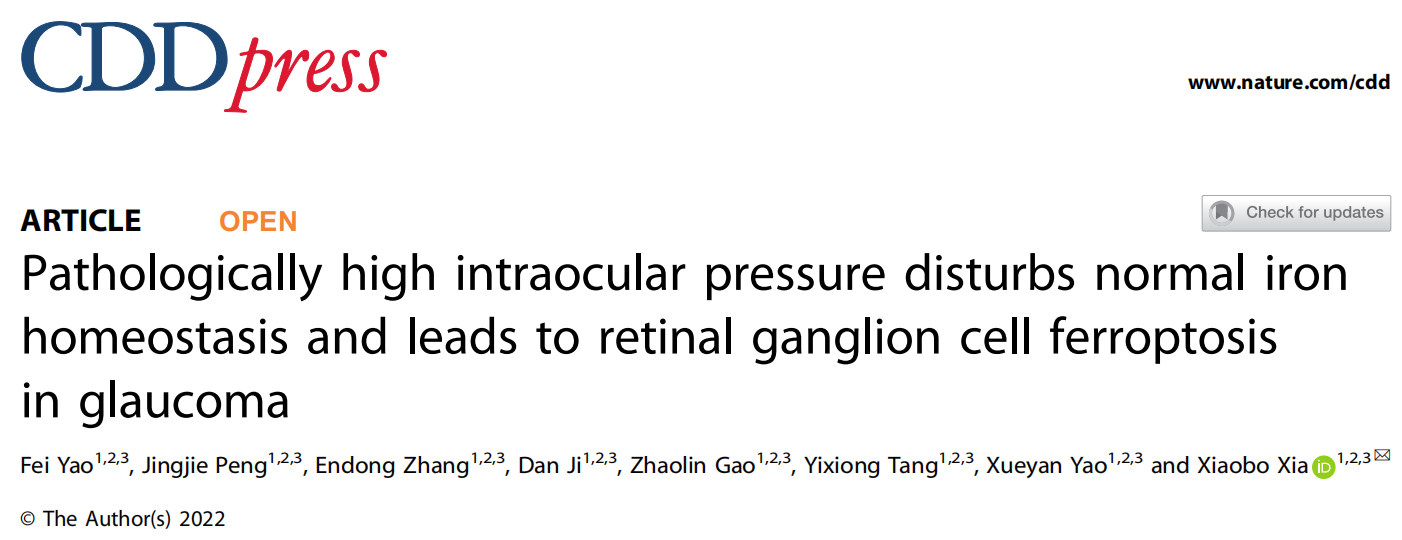 中南大学湘雅医院夏晓波教授团队在国际上首次揭示“铁死亡”与青光眼发病机制