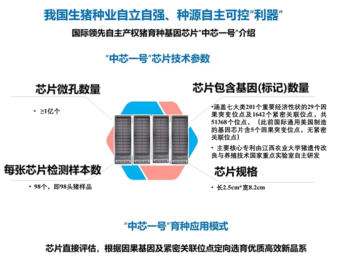 【奋进新征程 建功新时代】江西农业科技十年｜创新迸发新活力