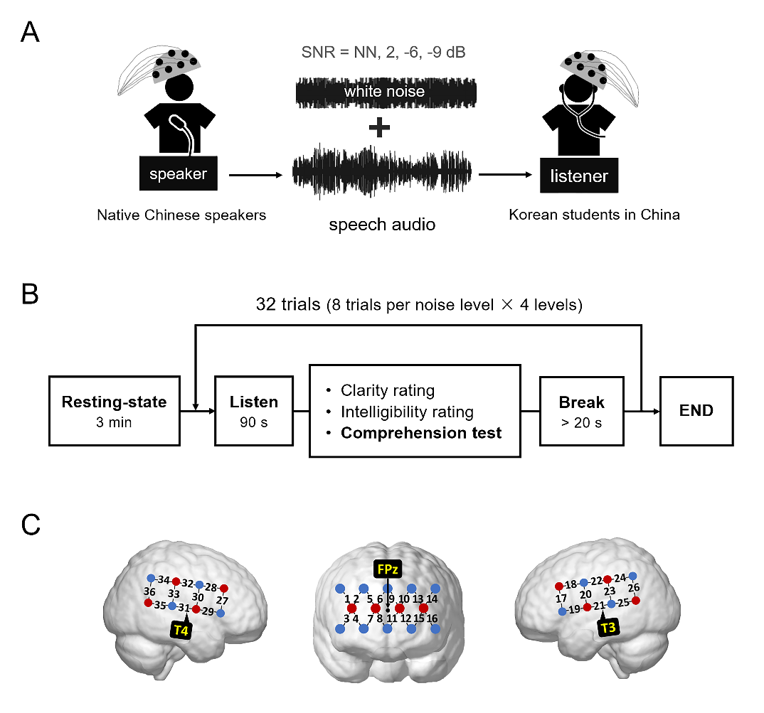 心理学系张丹课题组揭示噪声下非母语言语理解神经机制