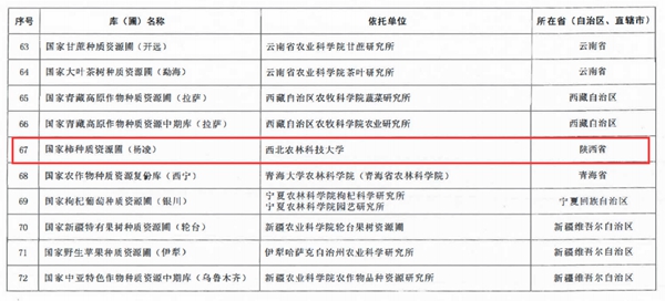 我校柿种质资源圃入选第一批国家农作物种质资源圃