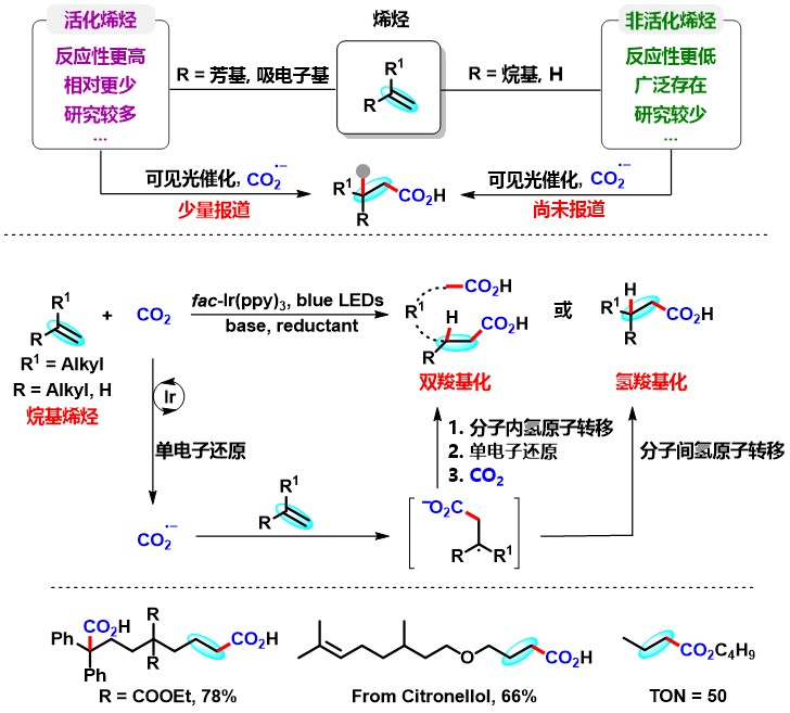 我校化学学院余达刚教授团队实现可见光催化CO2参与的非活化烯烃氢/双羧基化反应