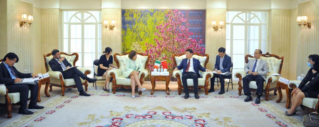 姜泽廷书记、聂祚仁校长会见爱尔兰驻华大使安黛文