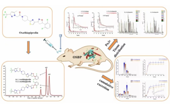 药学院梁啸副教授在农林科学顶级期刊Journal of Agricultural and Food Chemistry发表学术论文